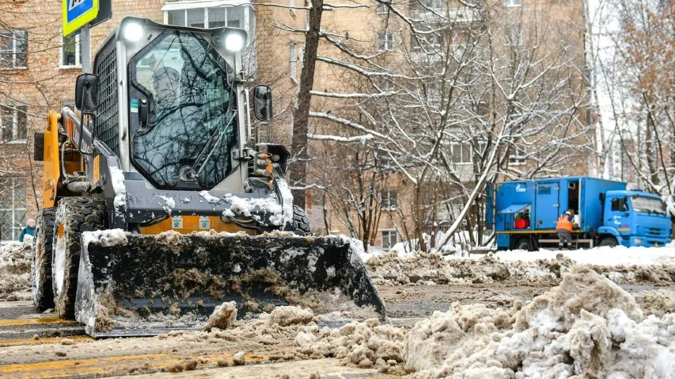 Фото: пресс-служба администрации г.о. Химки