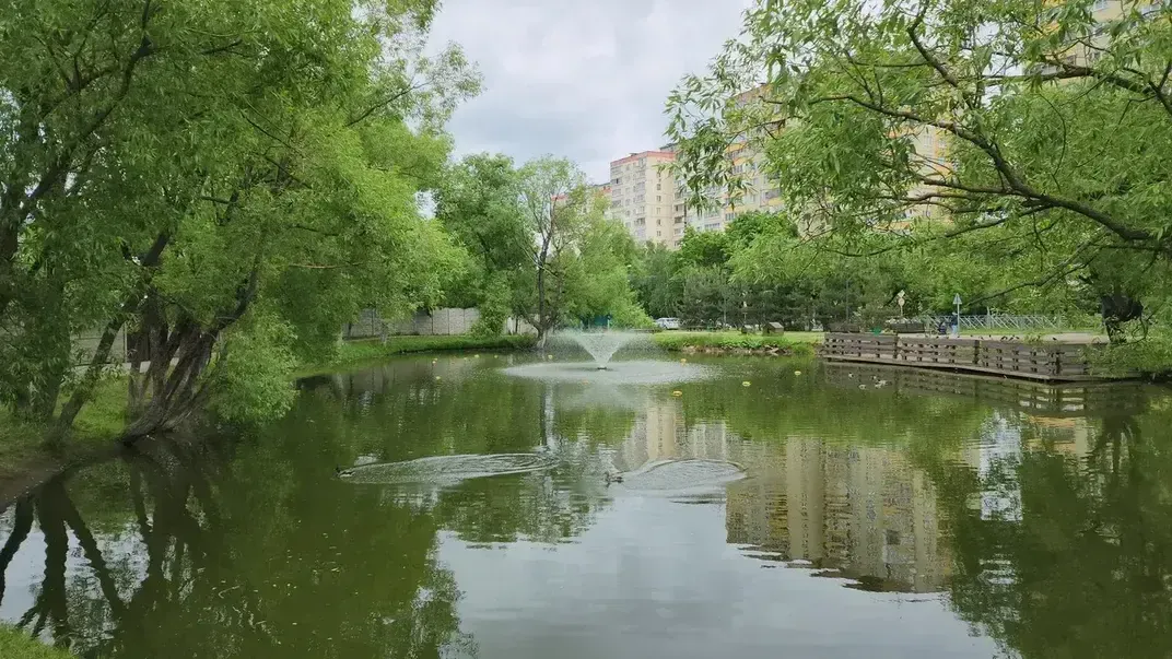 Картинка