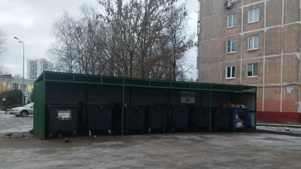 Переполненные мусорки на улице Луговой очистили. Фото: пресс-служба администрации г. о. Фрязино&nbsp;