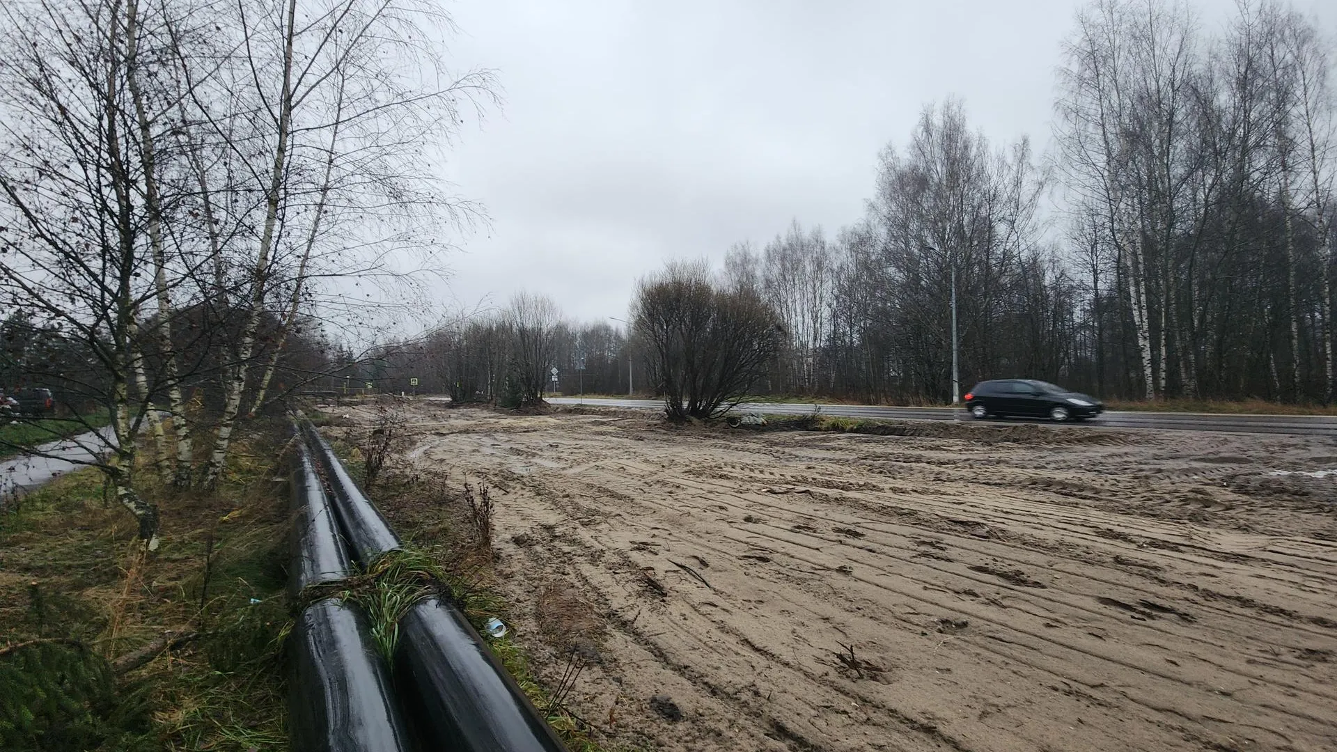 Фото: пресс-служба администрации г.о. Черноголовка