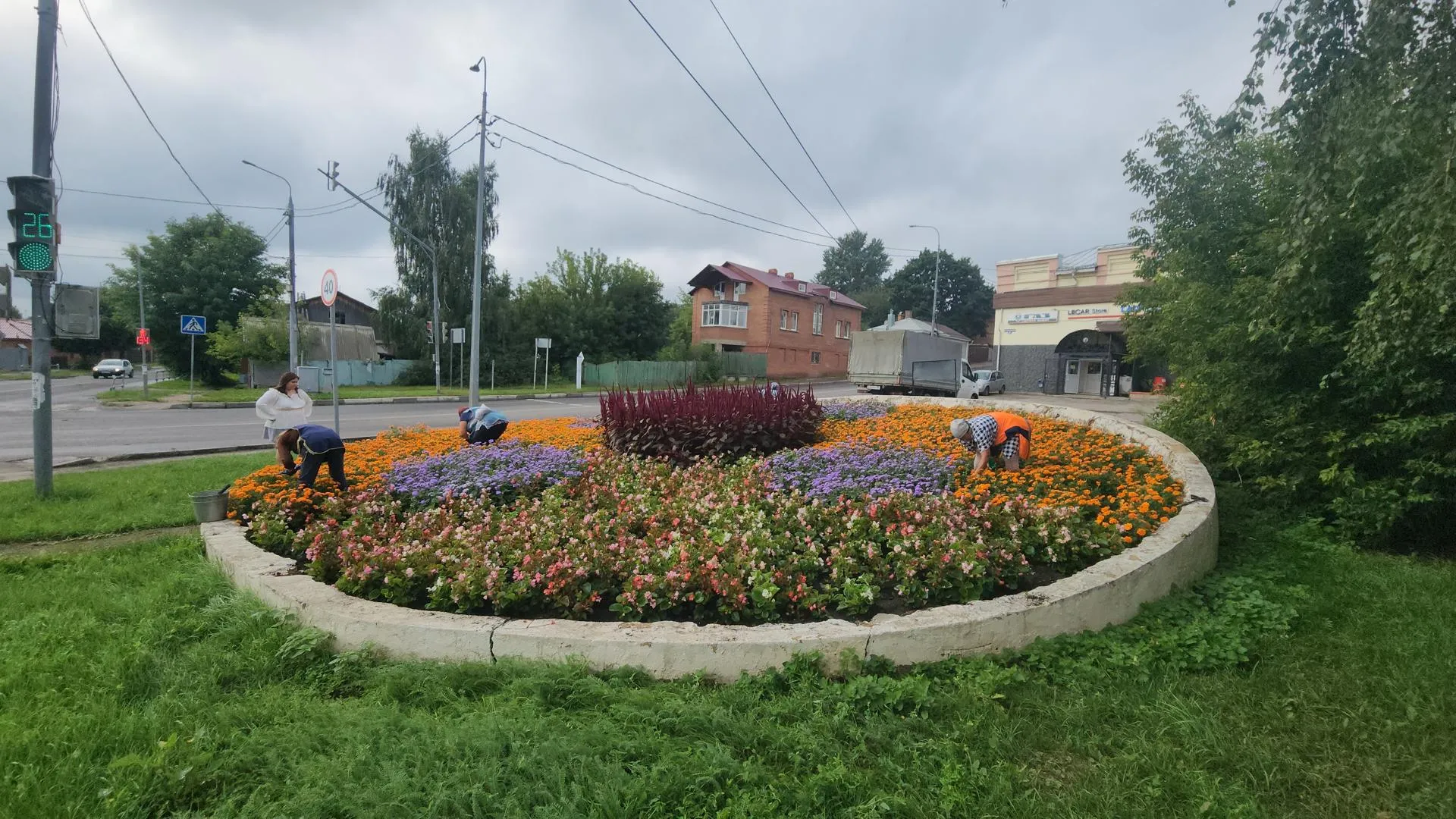 Картинка