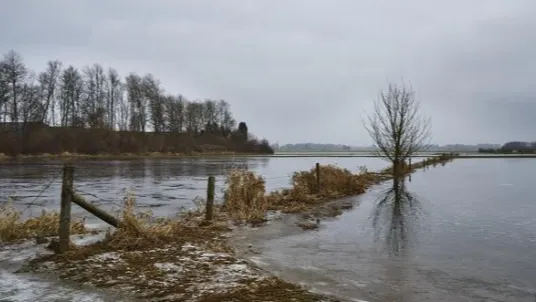 freepik.com