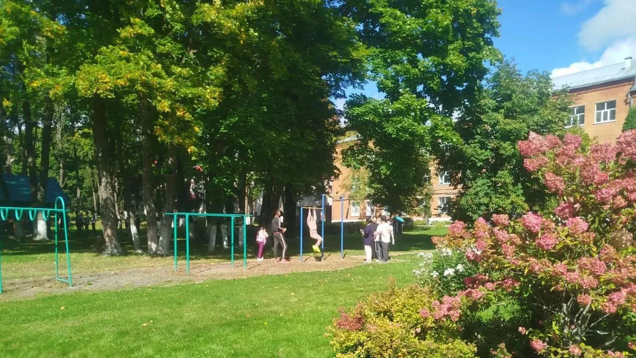 Картинка