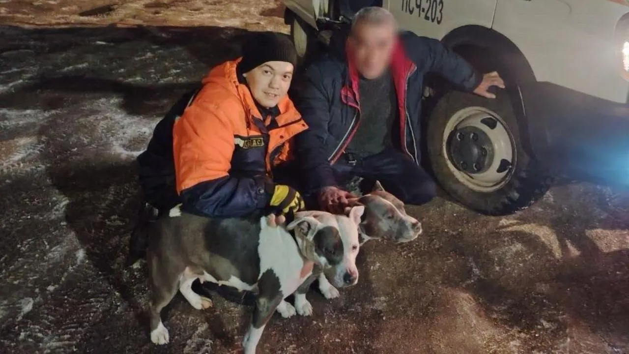 В Волоколамске спасатели помогли выбраться из леса мужчине с дочерью и двумя собаками