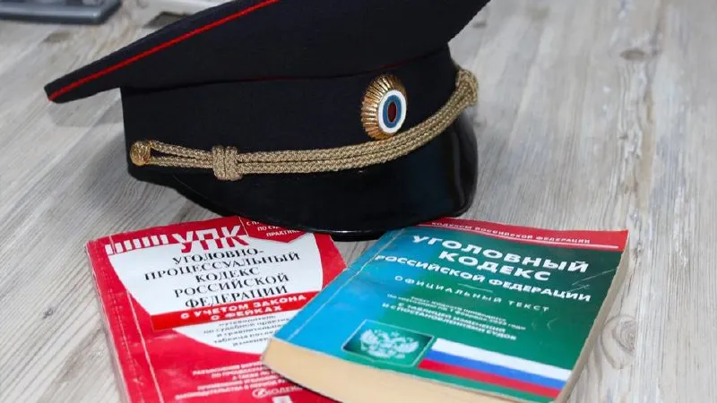 Фото: пресс-служба УМВД России по Дмитровскому городскому округу