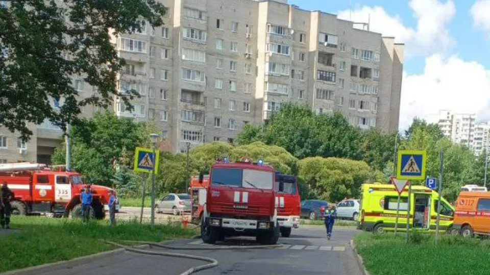 Фото: МЧС Московской области