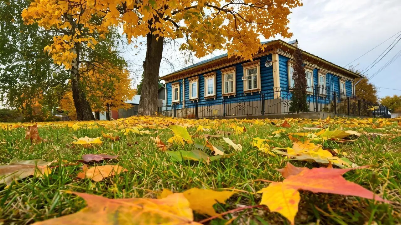 Картинка