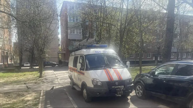 Картинка