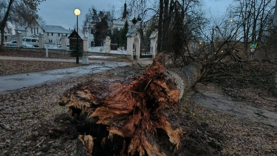 Фото: социальные сети