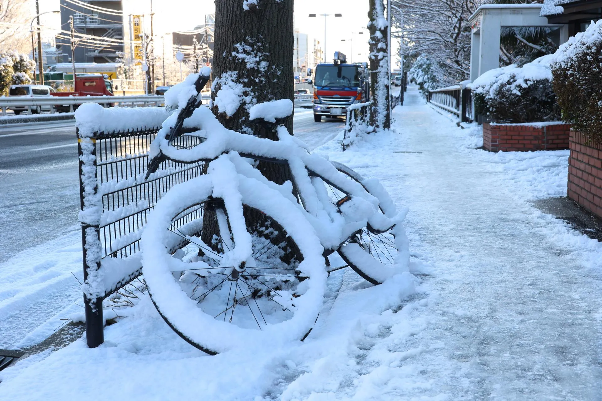 Yoshio Tsunoda/AFLO