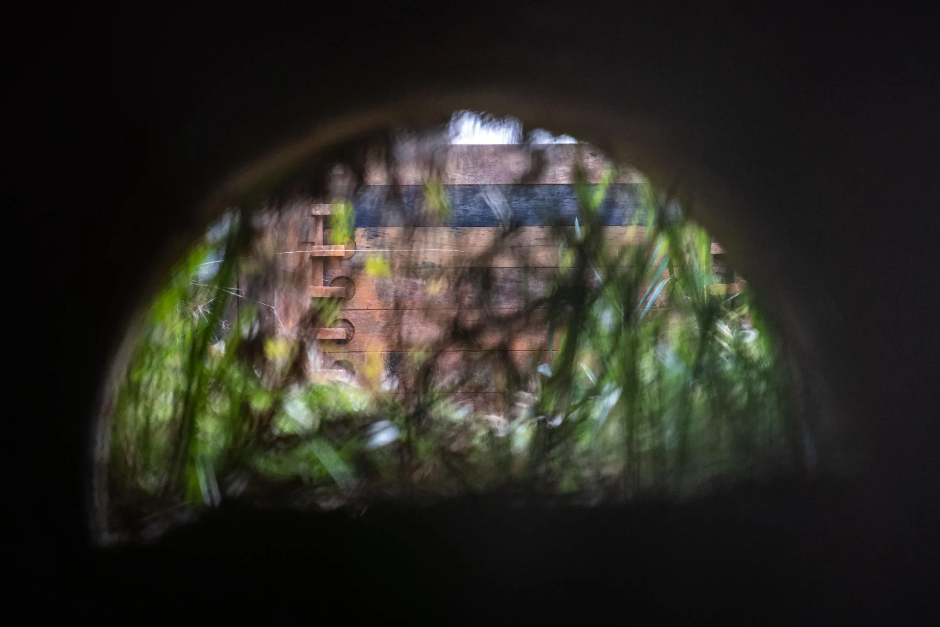 Lino Mirgeler/dpa