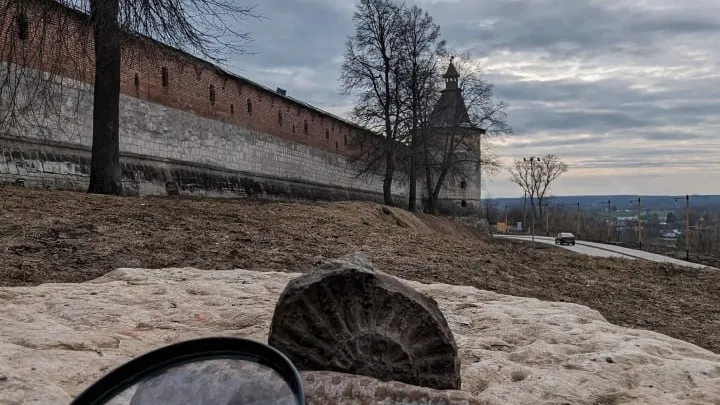 Фото: ГМЗ «Зарайский кремль».