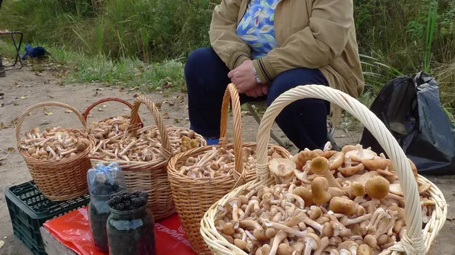 Придорожная торговля в Дубне
