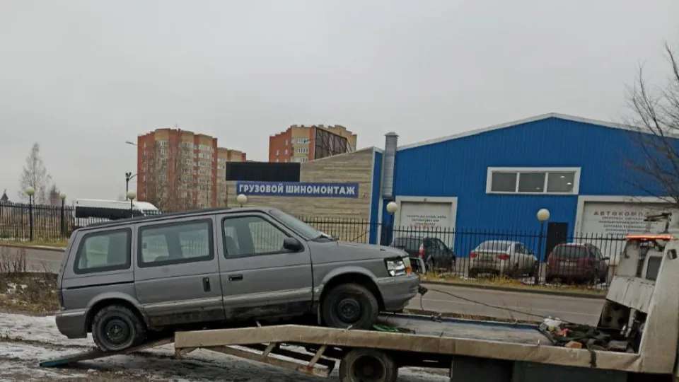 Фото: пресс-служба администрации г. о. Черноголовка