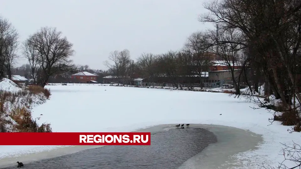 Егорьевцы хотят видеть здесь лодочную станцию. Фото: REGIONS/Василий Тремасов