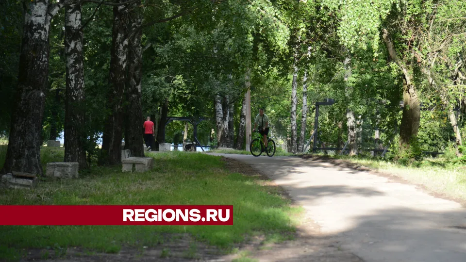 В парке 50-летия Октября летом. Фото: REGIONS/Нина Соколова