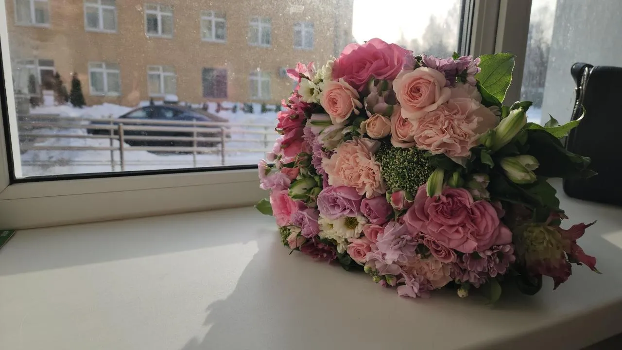 Картинка