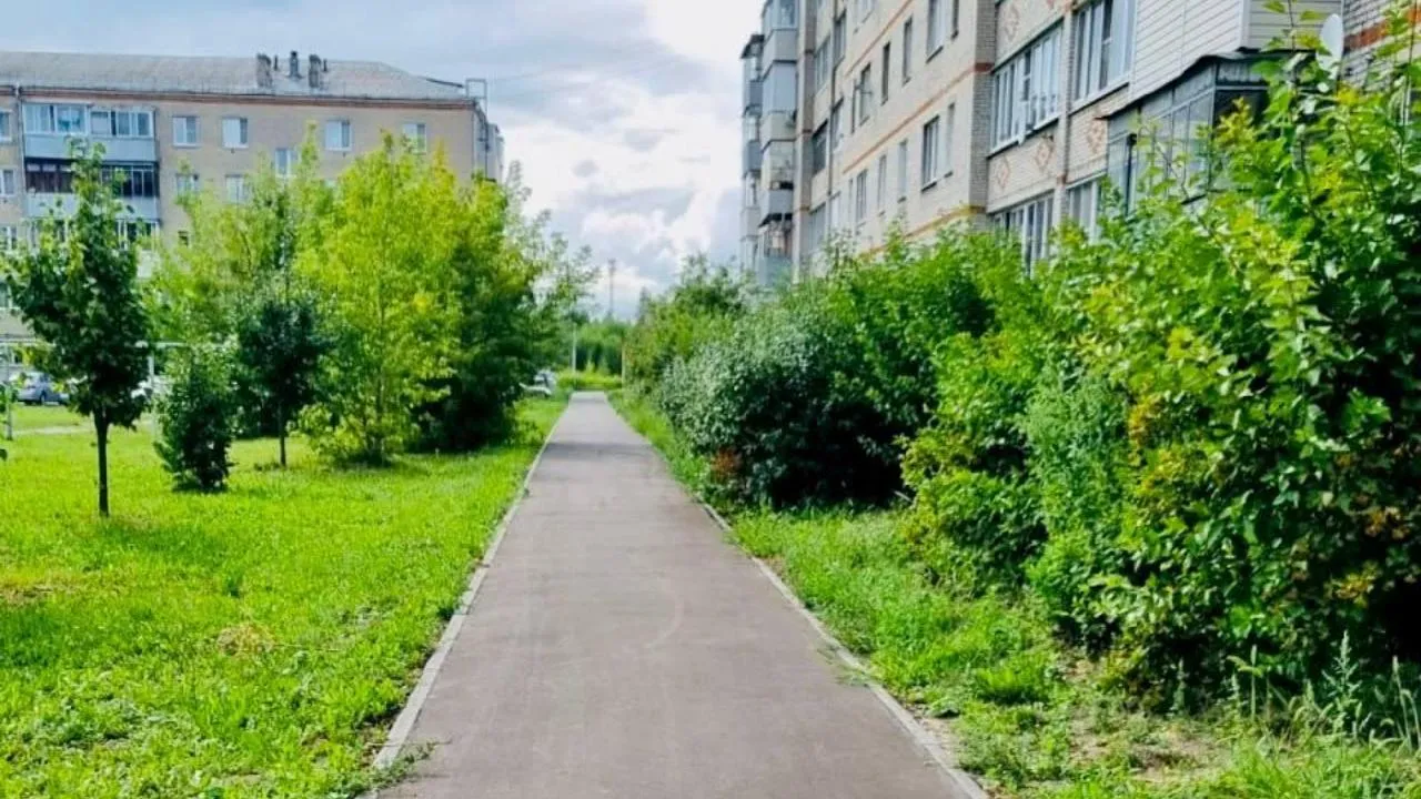 Более 300 «народных троп» к социальным объектам благоустроят в Подмосковье в этом году