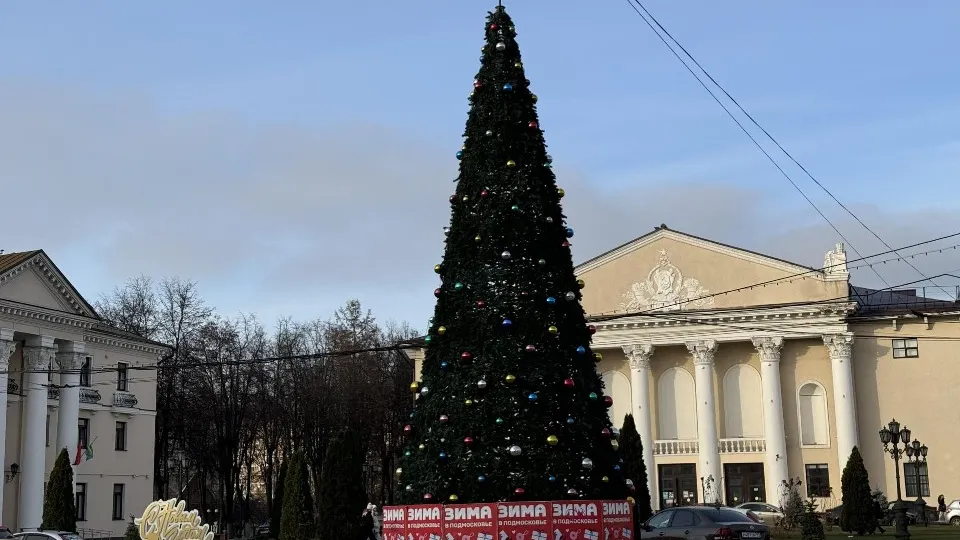 Фото: МедиаБанк Подмосковья/Полина Абраменко