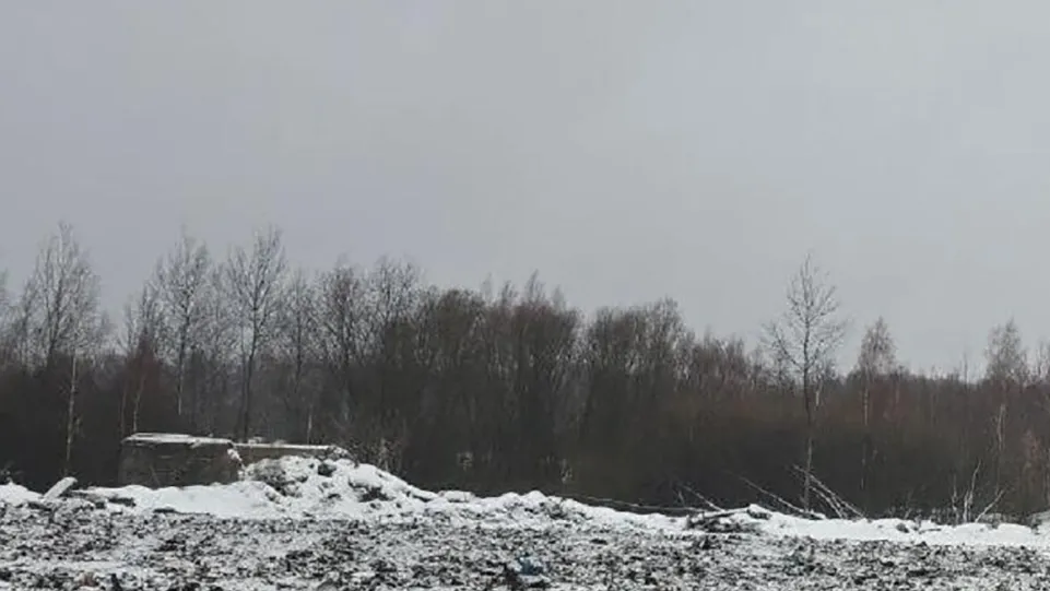 Фото: Министерство экологии и природопользования Московской области