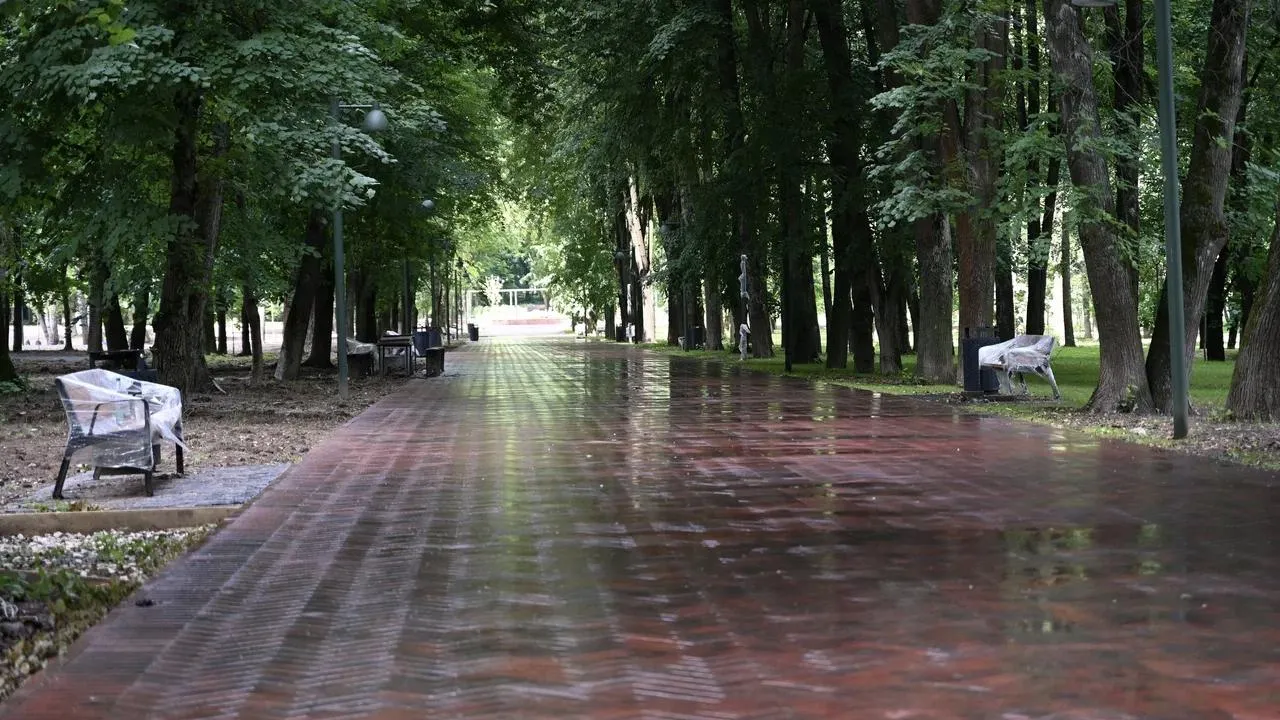 Центральный городской парк