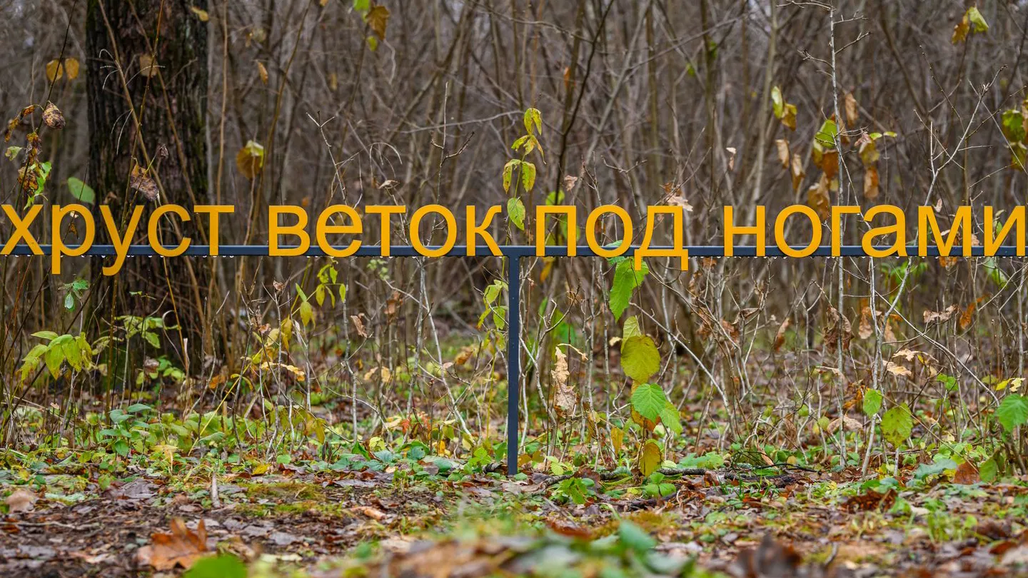 Фото: медиасток.рф