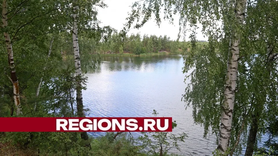 Фото: Александр Дрожжин