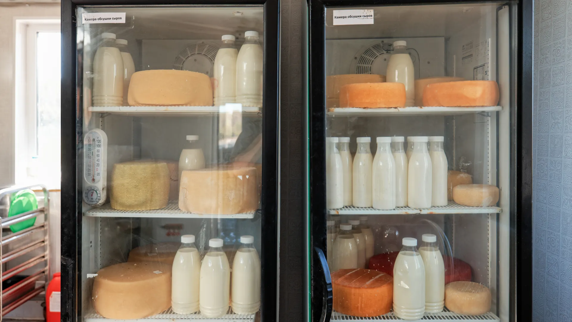 Не все «Е» вредны: специалист развеял мифы о составе продуктов