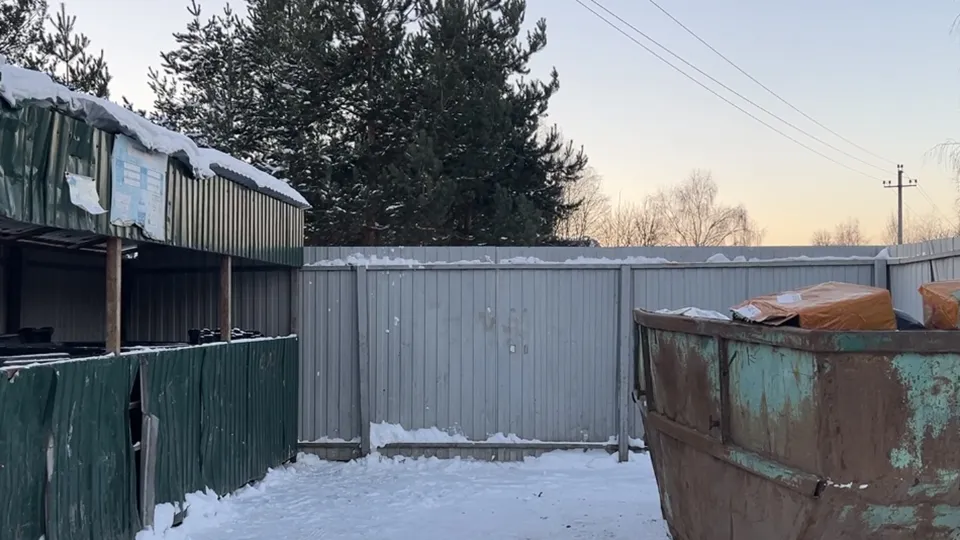 Фото: МедиаБанк Подмосковья/Ерофеева Валерия