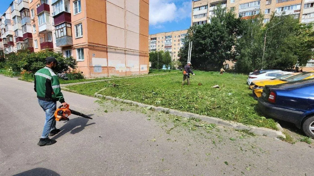 Картинка