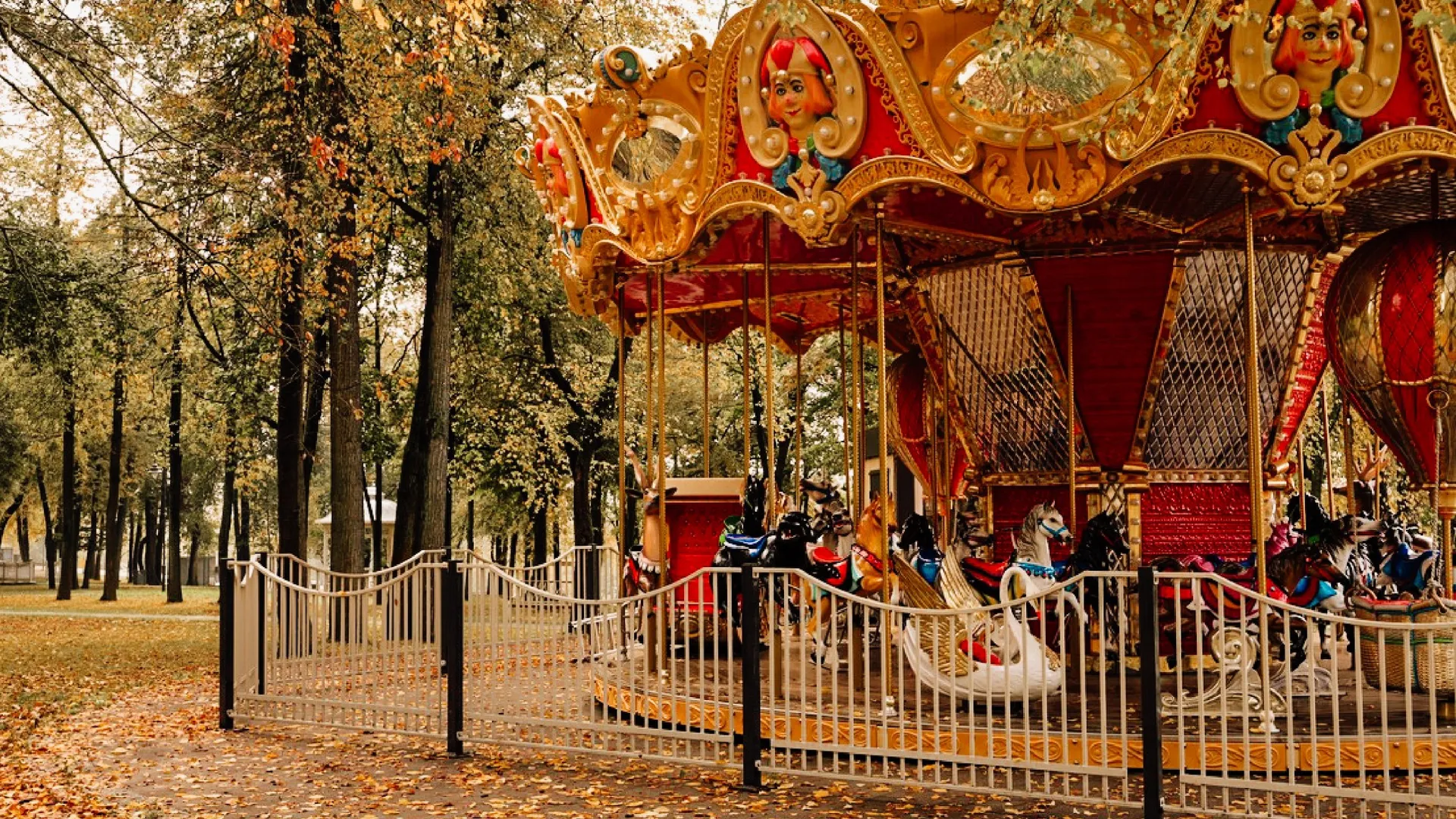Фото: t.me/usadbakrivyakino