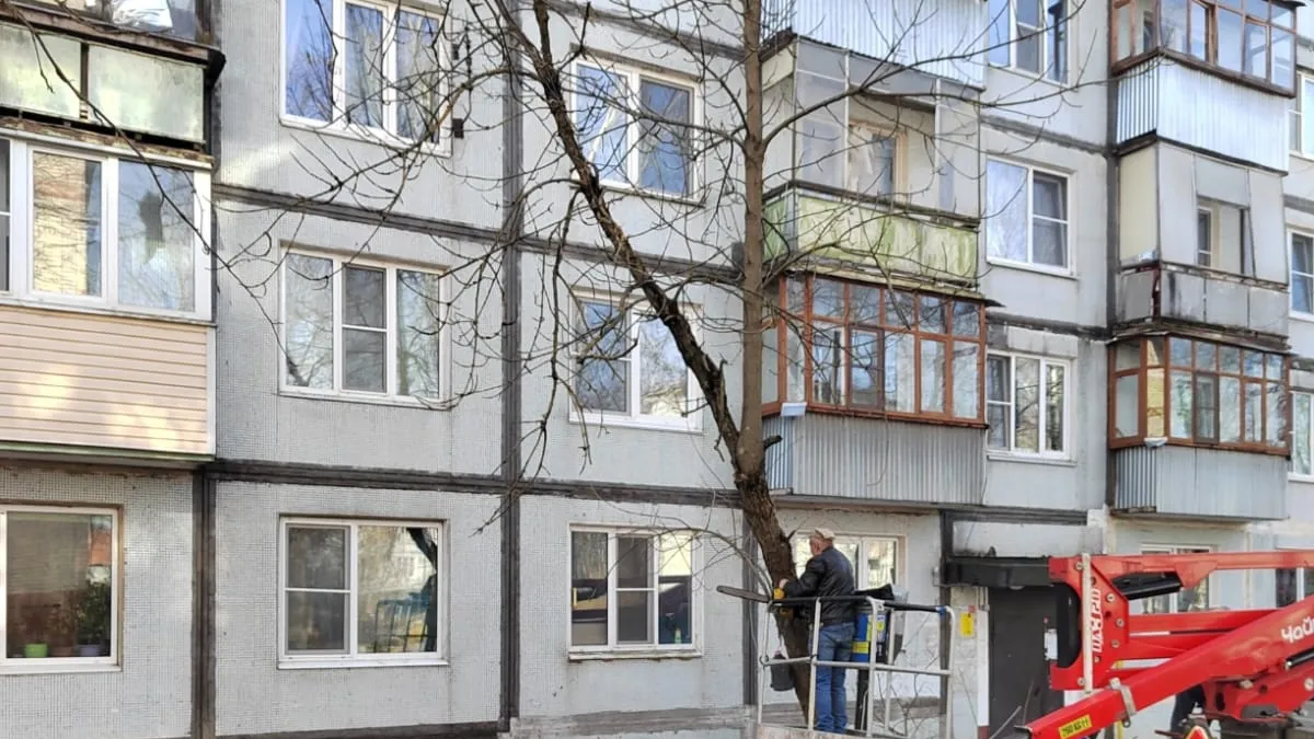 администрация НФ ГО&nbsp;&nbsp;