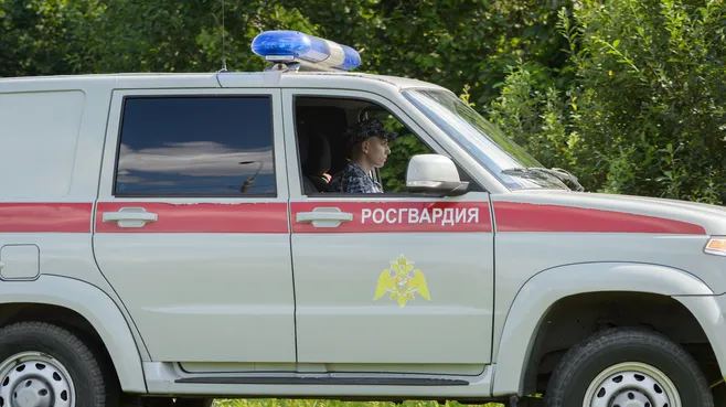 Мытищи. Шолохово. Военно-патриотический фестиваль Фронтовая собака