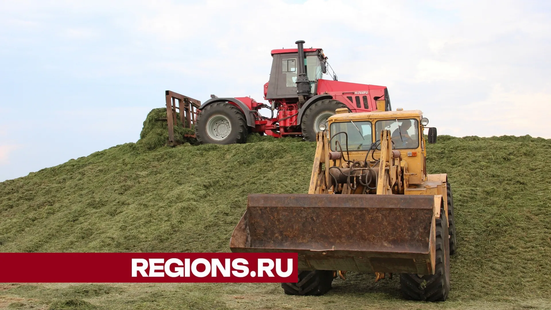 Фото Александра Дрожжина