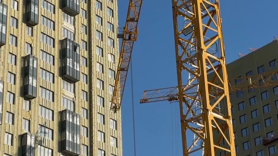 Фото: МедиаБанк Подмосковья/Ксения Казакова