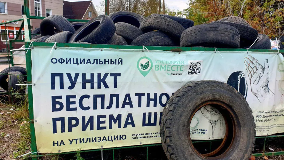Фото: администрация городского округа Истра