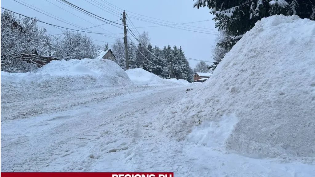 фото: А.Серова