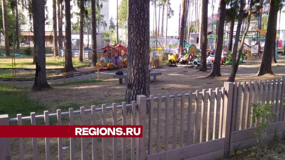 Фото представлено жительницей Жуковского
