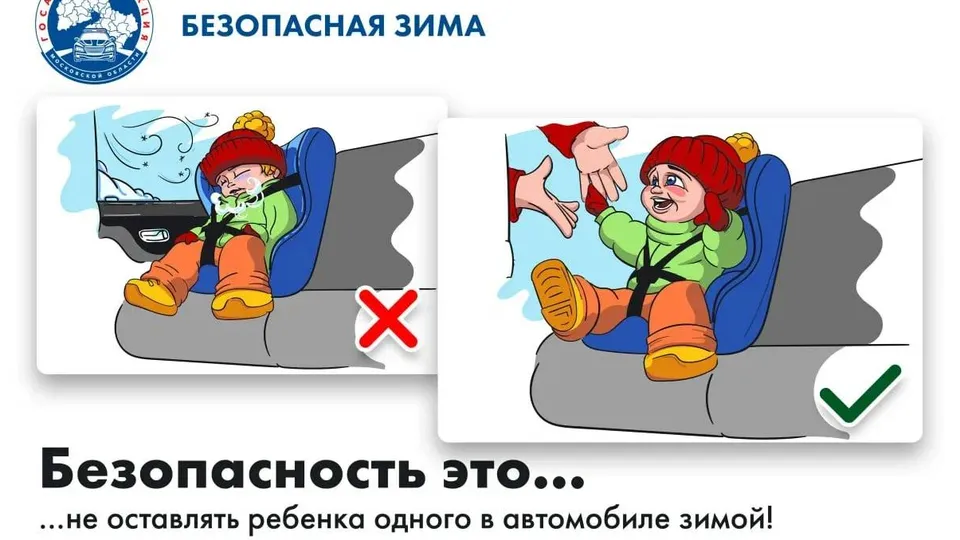 Фото: Госавтоинспекция по Московской области