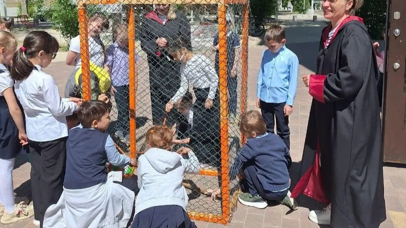 Картинка