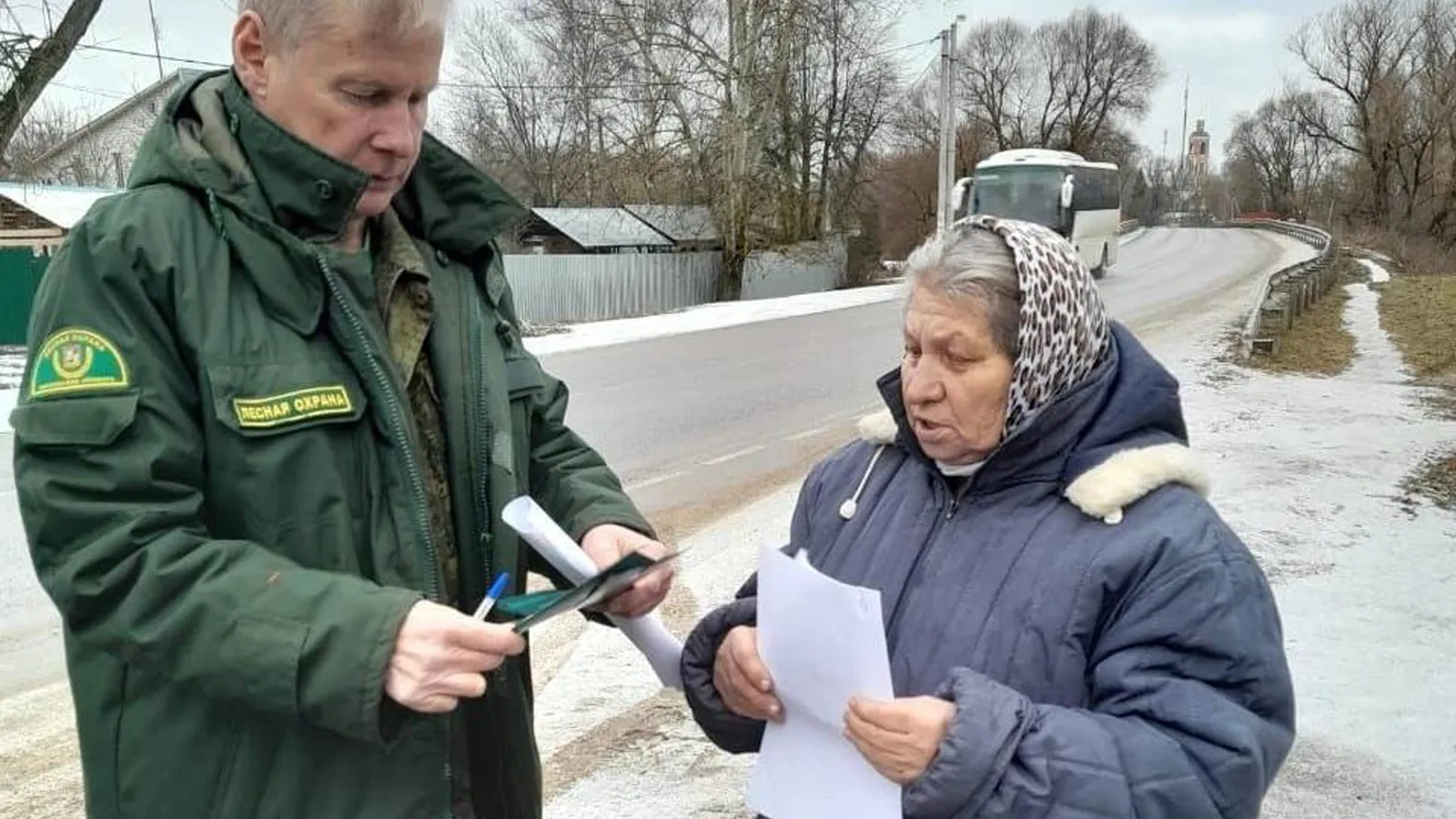 Фото: ГАУ МО «Мособллес»
