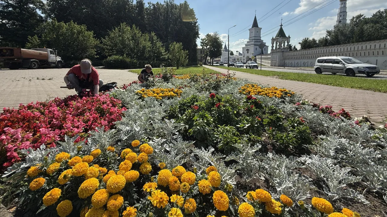 Картинка