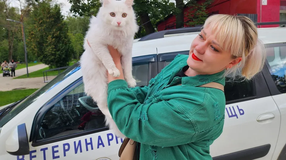 Фото: МедиаБанк Подмосковья/Евгения Герасимова
