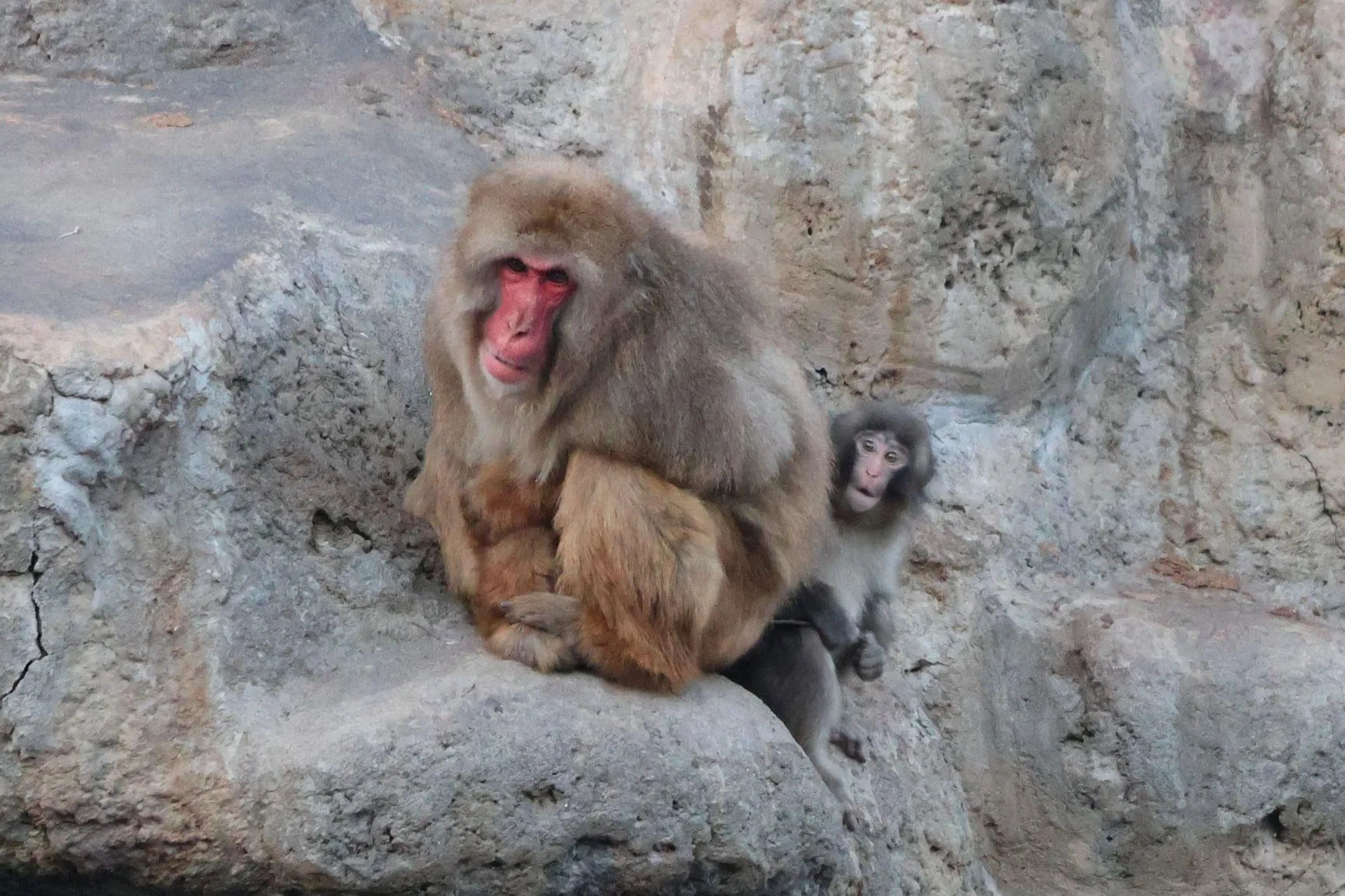 Ichikawa City Zoo