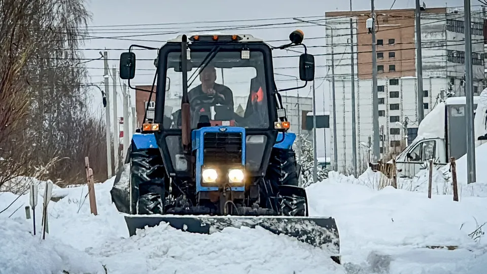 Фото: МедиаБанк Подмосковья/Данила Кирьянов