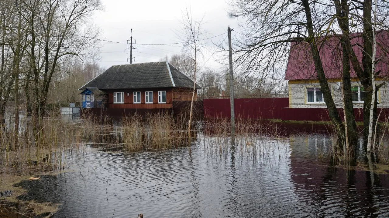 Картинка