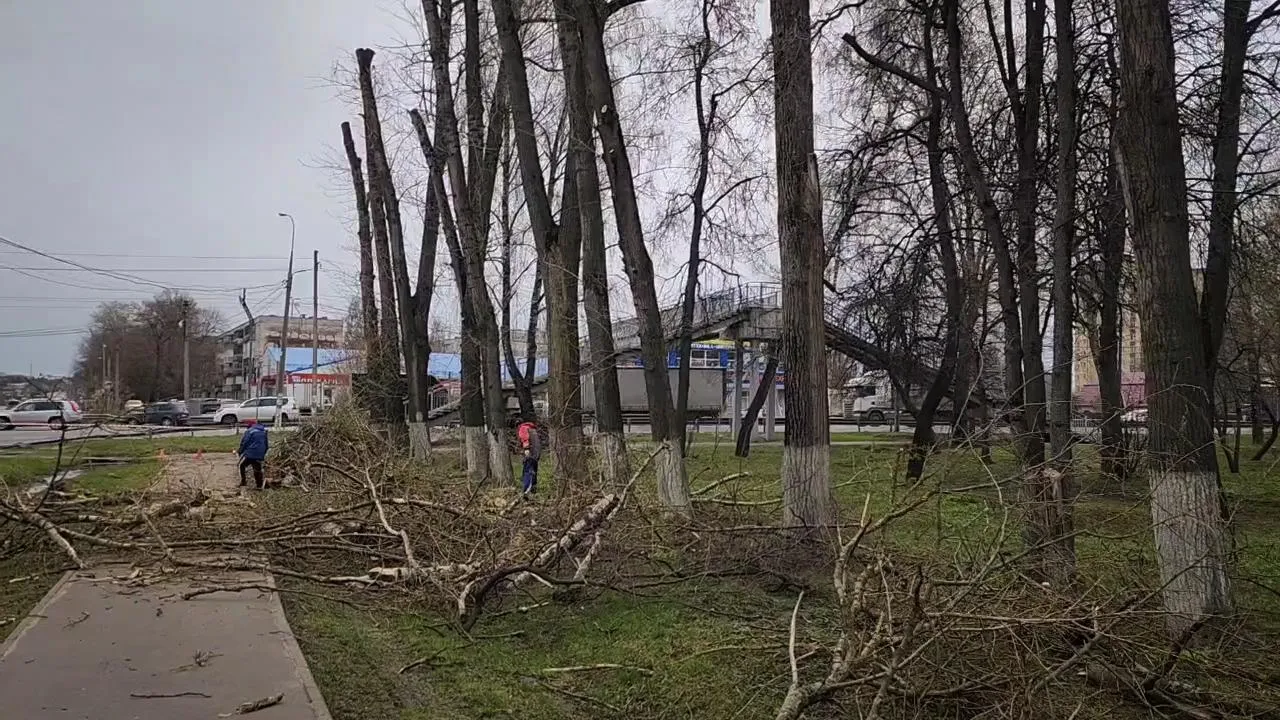 Картинка