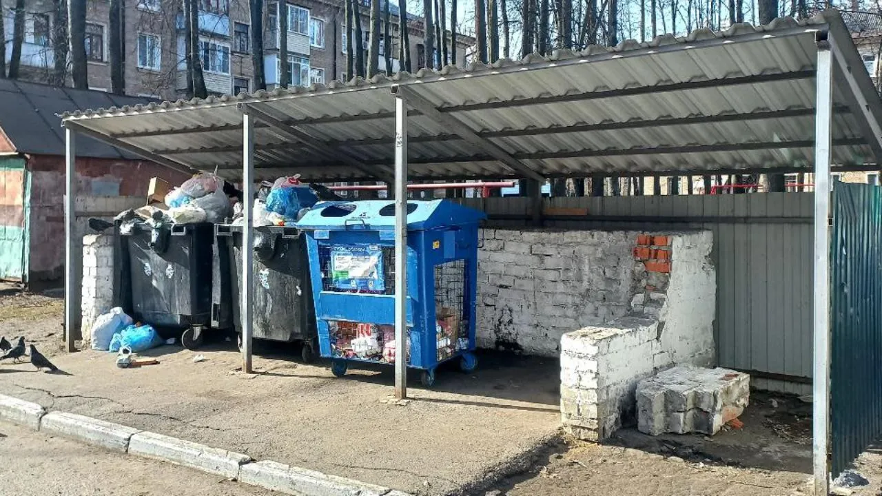 Картинка