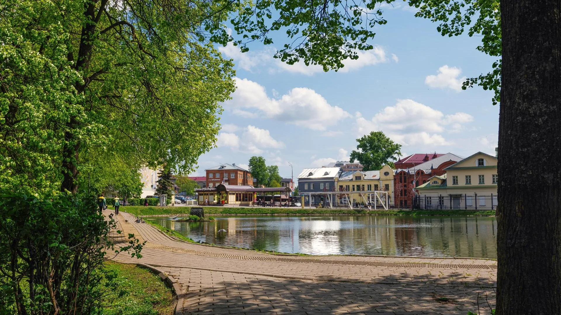 Картинка