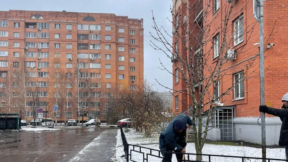 Картинка